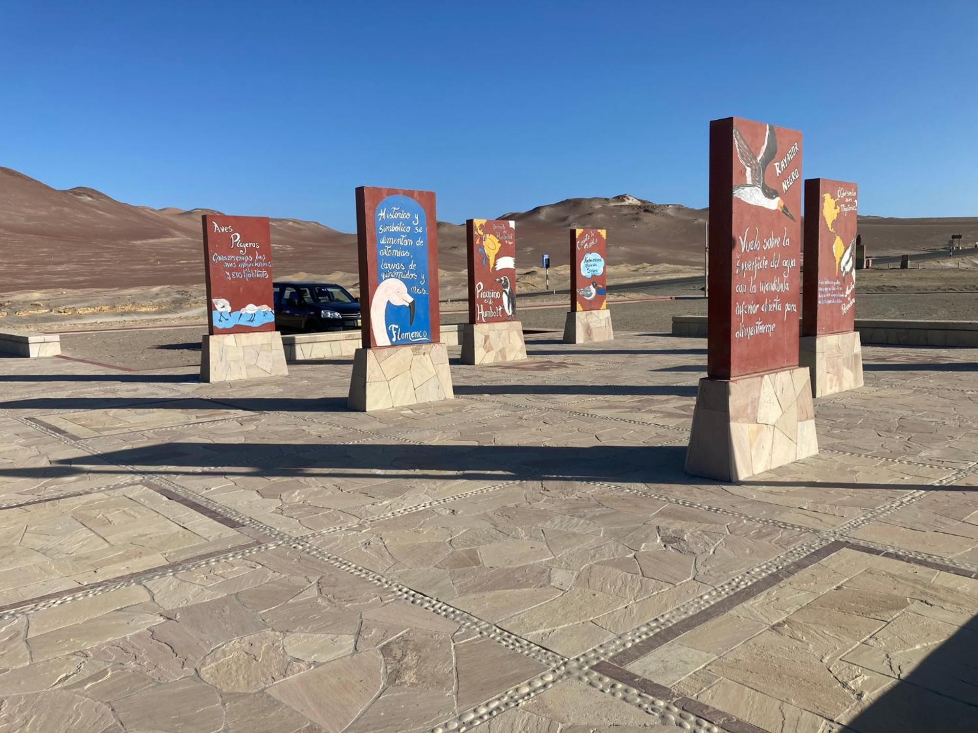 Paracas Camp Lodge & Experiences Bagian luar foto