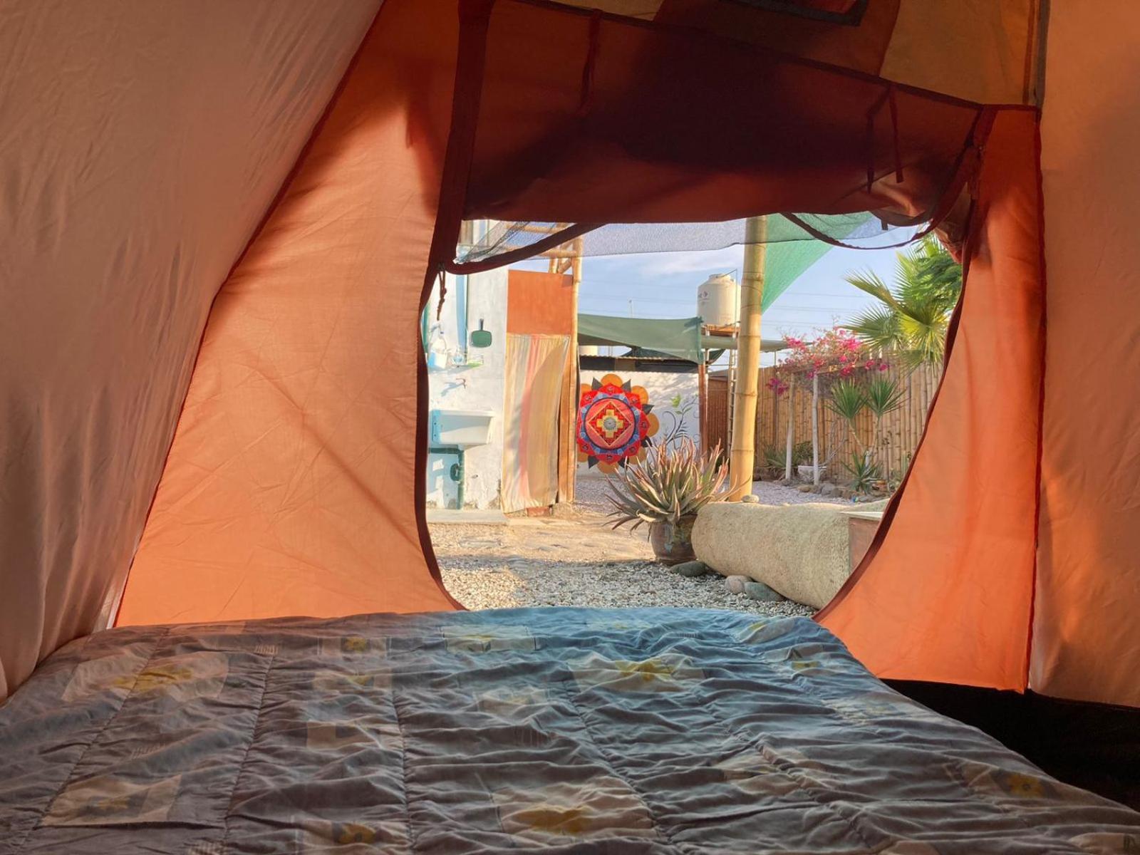 Paracas Camp Lodge & Experiences Bagian luar foto